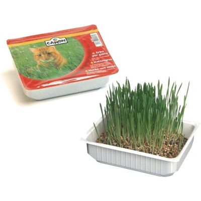 Erba per gatti Camon con semi d'orzo - 300g Erba per gatti Camon con semi d'orzo - 300g