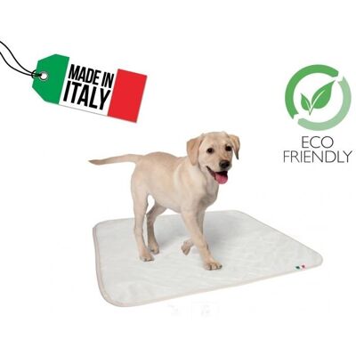 Tapis d'entraînement réutilisable pour chiens - 70x60 cm - Tapis d'entraînement pour chiens Tapis d'entraînement réutilisable pour chiens - 70x60 cm - Tapis d'entraînement pour chiens