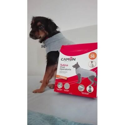 Tutina Post-operatoria Camon Spa - Grigia - 60 cm Tutina Post-operatoria Camon Spa - Grigia - 60 cm