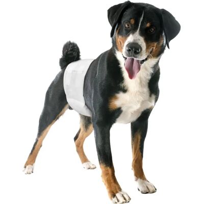 Pannolini per cani Camon - Taglia S - Fascia elastica - 12 pezzi Pannolini per cani Camon - Taglia S - Fascia elastica - 12 pezzi