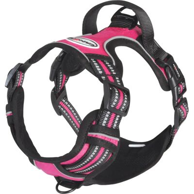 Pettorina grande fucsia Camon - Pettorina per cani Pettorina grande fucsia Camon - Pettorina per cani