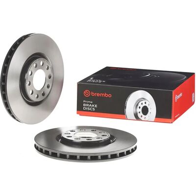 Brembo Behandlet bremseskive 305mm - Bremseskive Brembo Behandlet bremseskive 305mm - Bremseskive
