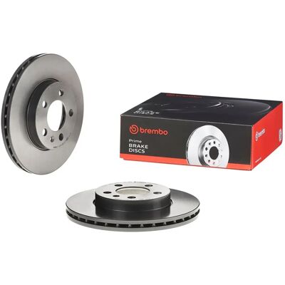 BREMBO Bremsscheibe - Belüftet, UV-beschichtet - 256mm, 22mm dick BREMBO Bremsscheibe - Belüftet, UV-beschichtet - 256mm, 22mm dick