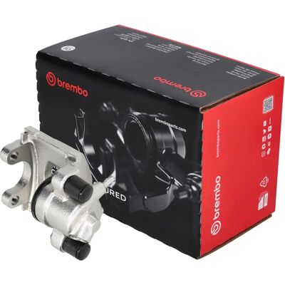 BREMBO F 06 113 Γκρι δαγκάνα φρένων - Σύστημα φρένων BREMBO F 06 113 Γκρι δαγκάνα φρένων - Σύστημα φρένων