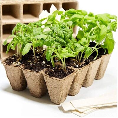 Trade Shop Vasitos Biodegradables - 40 uds, 6x6x4.5cm Trade Shop Vasitos Biodegradables - 40 uds, 6x6x4.5cm