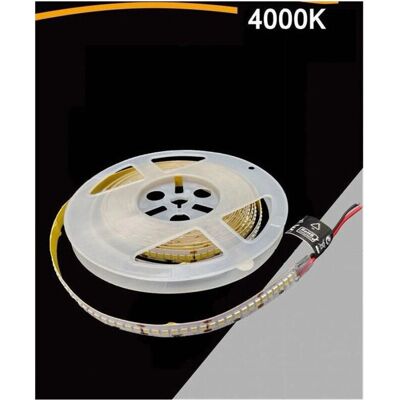 TRADE SHOP TRAESIO Tira LED 5m - Blanco Natural - Tipo de Producto TRADE SHOP TRAESIO Tira LED 5m - Blanco Natural - Tipo de Producto