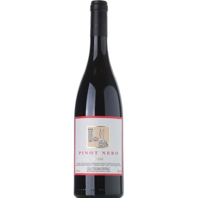 Vino Rosso Rubino Fontodi 2020 - Pinot Nero Case Via Vino Rosso Rubino Fontodi 2020 - Pinot Nero Case Via