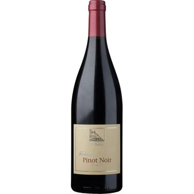 Cantina Terlano Pinot Noir 2019 - Vino Rosso Cantina Terlano Pinot Noir 2019 - Vino Rosso