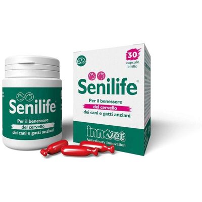 Innovet Italia Srl Senilife Plus 30 Capsules - Soutien cérébral pour chiens et chats - Publicité Innovet Italia Srl Senilife Plus 30 Capsules - Soutien cérébral pour chiens et chats - Publicité