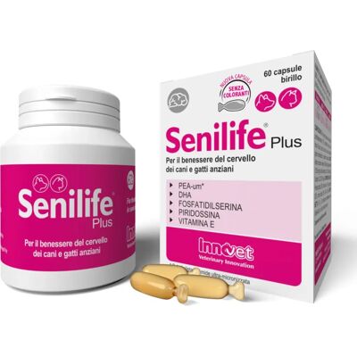 Innovet Senilife Plus - Bien-être Cérébral pour Chiens & Chats - 60 Capsules - Publicité Innovet Senilife Plus - Bien-être Cérébral pour Chiens & Chats - 60 Capsules - Publicité