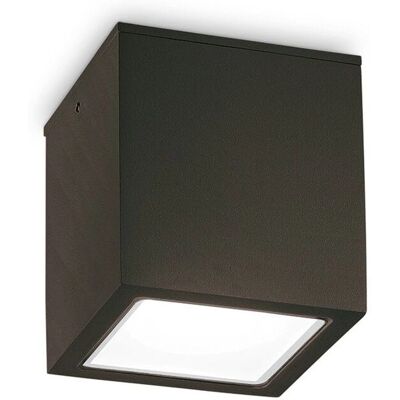 Ideal Lux Techo Lámpara de Techo Exterior Grande - Empotrada Ideal Lux Techo Lámpara de Techo Exterior Grande - Empotrada