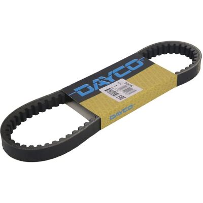 DAYCO Modell DAY8151K - Keilriemen DAYCO Modell DAY8151K - Keilriemen