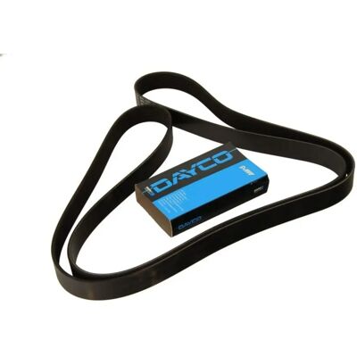 Cinghia Dayco 8PK1620HD Cinghia Dayco 8PK1620HD