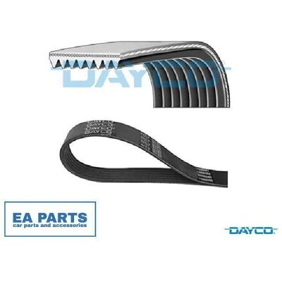 Dayco 8PK2512 Μπλε V-ιμάντας - V-ιμάντας Dayco 8PK2512 Μπλε V-ιμάντας - V-ιμάντας