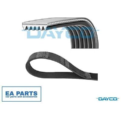 Ιμάντας V-ακτίνας Dayco 6PK1735S για Alfa Romeo 159 - Ιμάντας Ιμάντας V-ακτίνας Dayco 6PK1735S για Alfa Romeo 159 - Ιμάντας