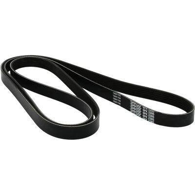 Dayco 6PK2285 Keilrippenriemen - V-Riemen für Autos Dayco 6PK2285 Keilrippenriemen - V-Riemen für Autos