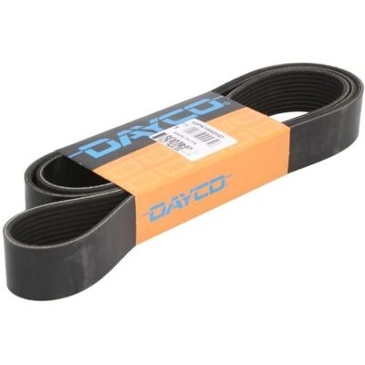 DAYCO 10PK1950HD Correa trapecial - Correa de accesorios DAYCO 10PK1950HD Correa trapecial - Correa de accesorios