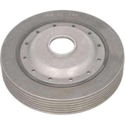 Dayco Riemenscheibe - Egnet til Renault Clio, Kangoo, Laguna, Megane Dayco Riemenscheibe - Egnet til Renault Clio, Kangoo, Laguna, Megane