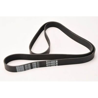 DAYCO 8PK1955HD V-ribbede rem - V-ribbede rem DAYCO 8PK1955HD V-ribbede rem - V-ribbede rem