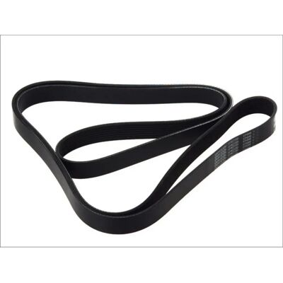 DAYCO 8PK2555HD V-ιμάντας - V-ιμάντας DAYCO 8PK2555HD V-ιμάντας - V-ιμάντας