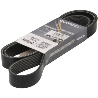 Dayco 8PK1970HD Ribbede bælte - Ribbede bælte Dayco 8PK1970HD Ribbede bælte - Ribbede bælte