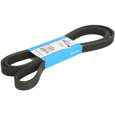 DAYCO Passat B5 GP Tilbehørssnor - Trapetsformet belte DAYCO Passat B5 GP Tilbehørssnor - Trapetsformet belte