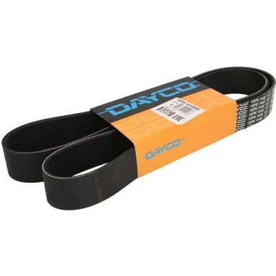 DAYCO 10PK1448HD Keilriemen - Keilriemen DAYCO 10PK1448HD Keilriemen - Keilriemen