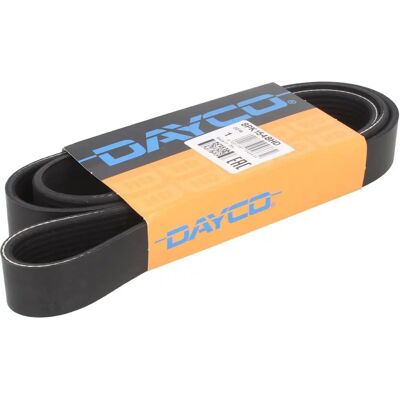DAYCO Malli 8PK1548HD V-ribbed hihna - V-ribbed hihna DAYCO Malli 8PK1548HD V-ribbed hihna - V-ribbed hihna
