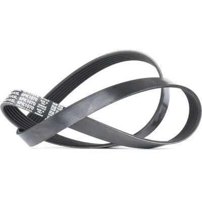 Dayco V-ribbed belt 6PK1070 - V-belt for biler Dayco V-ribbed belt 6PK1070 - V-belt for biler