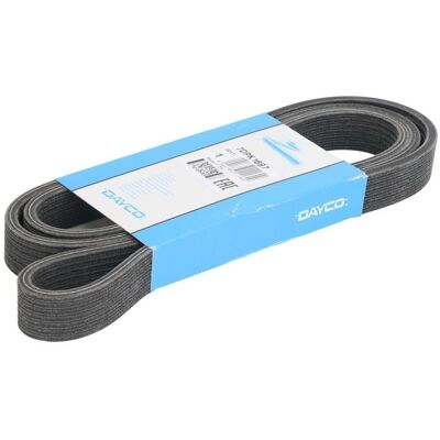 DAYCO 7DPK1697 Cinghia Poly-V per BMW Serie 5 DAYCO 7DPK1697 Cinghia Poly-V per BMW Serie 5