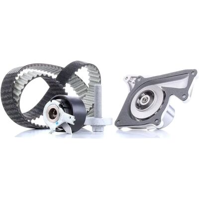 DAYCO Wasserpumpe & Zahnriemen-Set - Wasserpumpe, Steuerkette, Renault, Dacia, Bugatti, Nissan DAYCO Wasserpumpe & Zahnriemen-Set - Wasserpumpe, Steuerkette, Renault, Dacia, Bugatti, Nissan