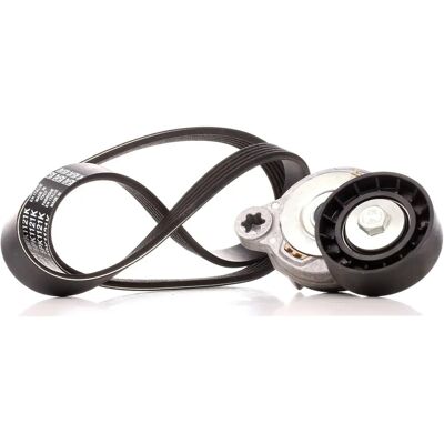 Dayco Modello KPV279 - Kit cinghia di distribuzione per Volvo S60, V60, V70, XC60, XC70 Dayco Modello KPV279 - Kit cinghia di distribuzione per Volvo S60, V60, V70, XC60, XC70