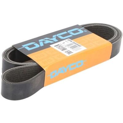 DAYCO 8PK1555HD Courroie trapézoïdale à nervures - Courroie trapézoïdale DAYCO 8PK1555HD Courroie trapézoïdale à nervures - Courroie trapézoïdale
