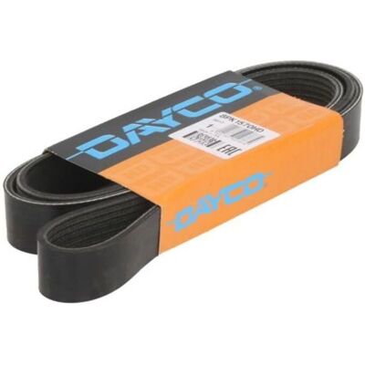 DAYCO 8PK1570HD Keilrippenriemen - Keilrippenriemen DAYCO 8PK1570HD Keilrippenriemen - Keilrippenriemen