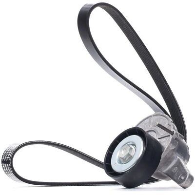 Set curea DAYCO KPV288 Set curea DAYCO KPV288