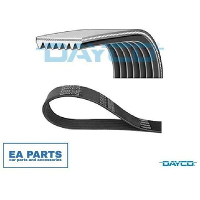 Dayco 7PK1055S V-bælte til Nissan Evalia, Micra, Note - V-bælte Dayco 7PK1055S V-bælte til Nissan Evalia, Micra, Note - V-bælte