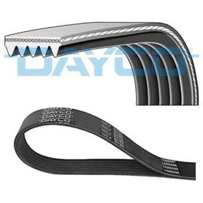 Dayco 5PK1334 Cinghia trapezoidale - Cinghia trapezoidale Dayco 5PK1334 Cinghia trapezoidale - Cinghia trapezoidale
