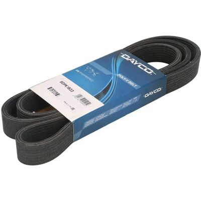 DAYCO 8DPK1833 Poly-V hihna - V-hihna DAYCO 8DPK1833 Poly-V hihna - V-hihna