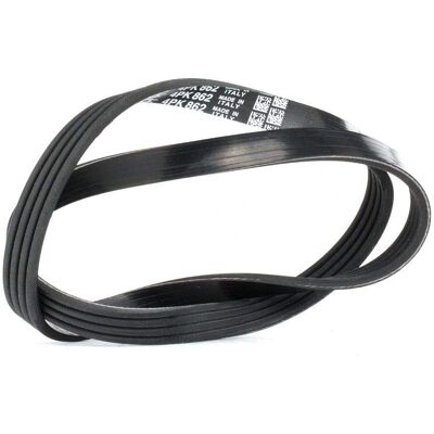 Courroie à nervures trapézoïdales DAYCO 4PK862 - Publicité Courroie à nervures trapézoïdales DAYCO 4PK862 - Publicité