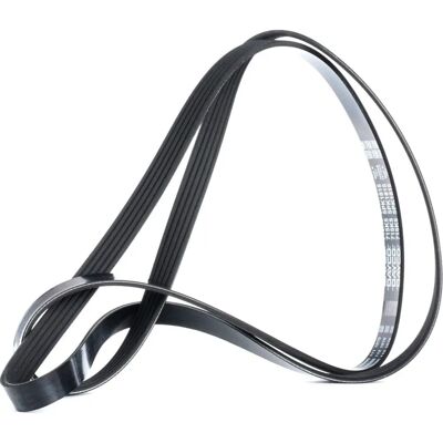 Dayco Model 5PK1815 - V-ribbed belt Dayco Model 5PK1815 - V-ribbed belt