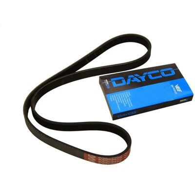 Dayco 5PK800 V-ripustekarti - Auton hihna Dayco 5PK800 V-ripustekarti - Auton hihna