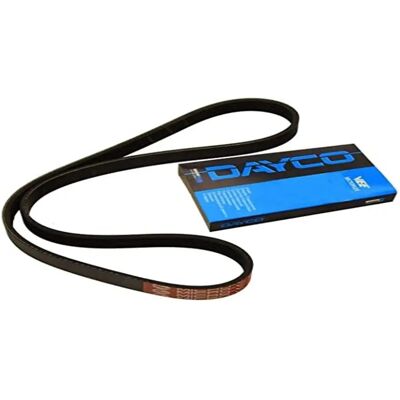 Dayco Modèle 5PK875 - Courroie à nervures Dayco Modèle 5PK875 - Courroie à nervures