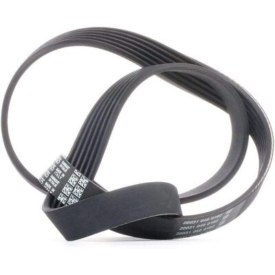 DAYCO Model 6PK1125 V-ribbed belt DAYCO Model 6PK1125 V-ribbed belt