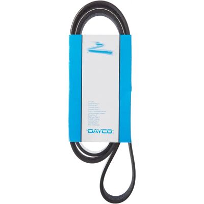 Dayco 6PK1510 Keilrippenriemen - Keilrippenriemen Dayco 6PK1510 Keilrippenriemen - Keilrippenriemen