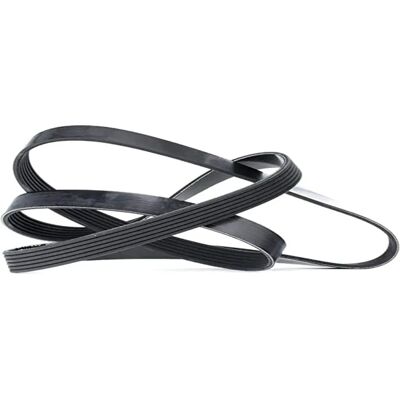 Dayco 6PK1565 V-ribbed belt - V-ribbed belt Dayco 6PK1565 V-ribbed belt - V-ribbed belt