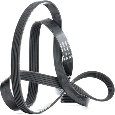 Dayco Model 6PK1890 V-ribbet rem - V-ribbet rem Dayco Model 6PK1890 V-ribbet rem - V-ribbet rem