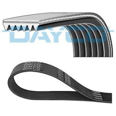 Dayco 6PK1955 Cinghia a V - Corrente per auto Dayco 6PK1955 Cinghia a V - Corrente per auto