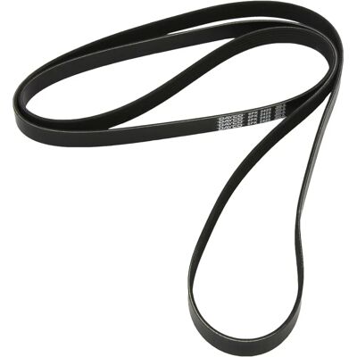Dayco A0009933896 6PK2425 V-ribbebelt - V-ribbebelt Dayco A0009933896 6PK2425 V-ribbebelt - V-ribbebelt