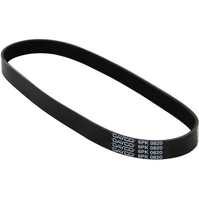 Dayco 6PK820 Cinghia Poly-V - Cinghia accessori Dayco 6PK820 Cinghia Poly-V - Cinghia accessori
