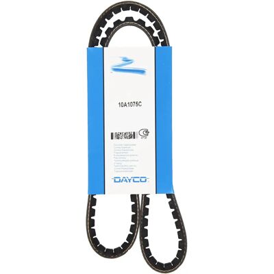 DAYCO Courroie Trapézoïdale - 1075mm, 10mm, VW/Opel/Ford DAYCO Courroie Trapézoïdale - 1075mm, 10mm, VW/Opel/Ford